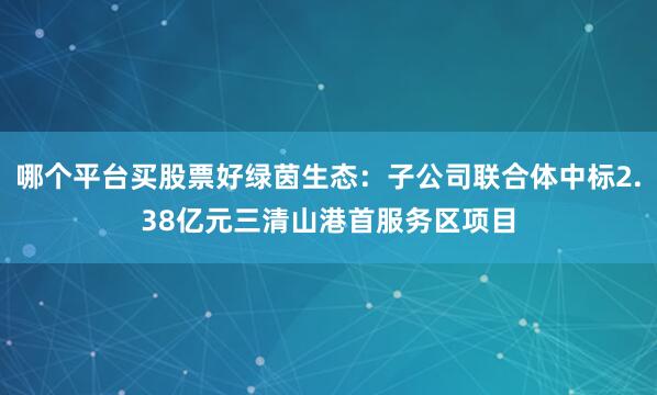 哪个平台买股票好绿茵生态：子公司联合体中标2.38亿元三清山港首服务区项目