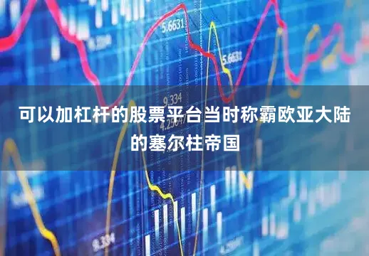 可以加杠杆的股票平台当时称霸欧亚大陆的塞尔柱帝国